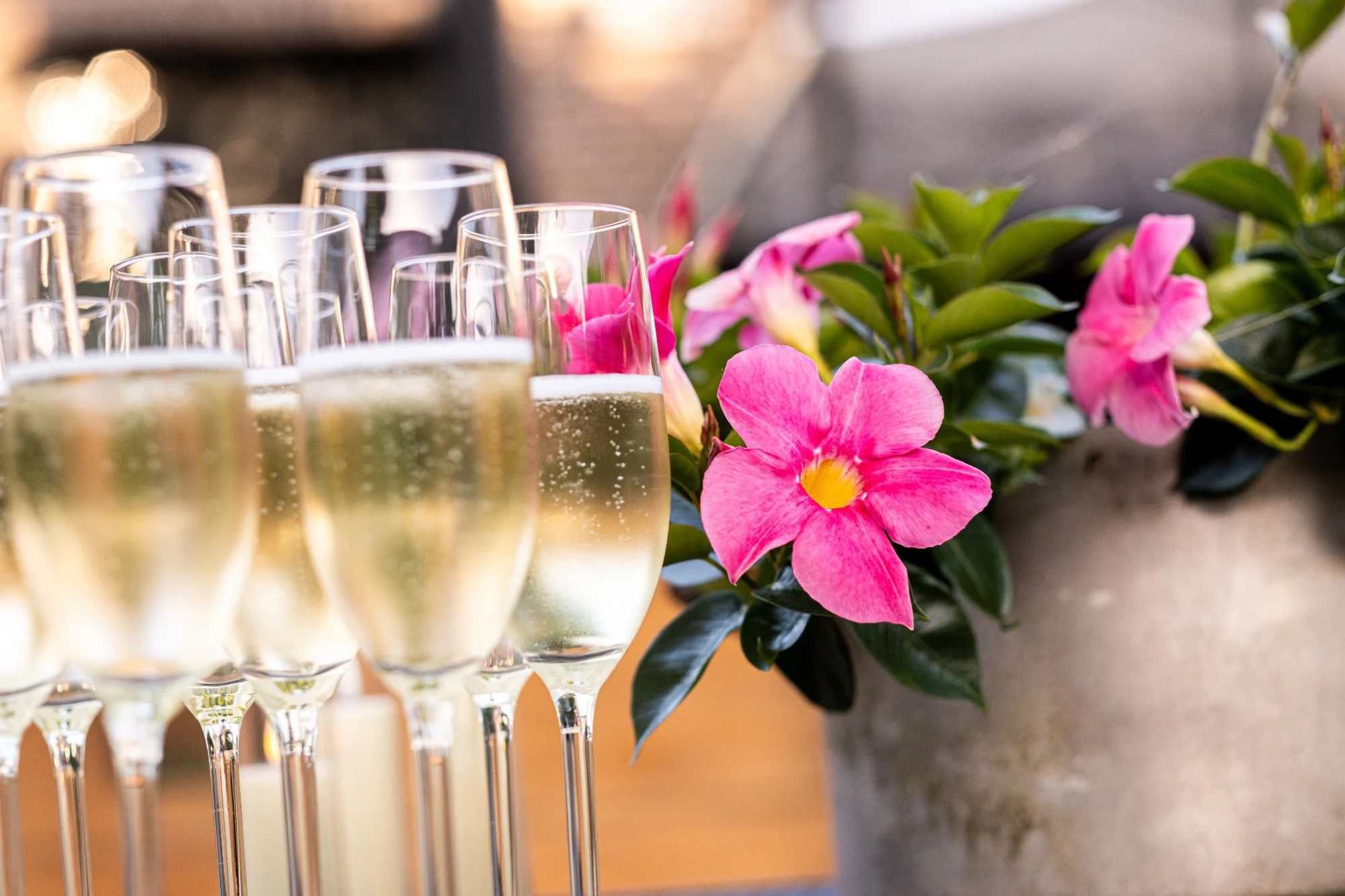 NikolPeckaPhotography-Weddings-Phyllis&Tijs1608.jpg