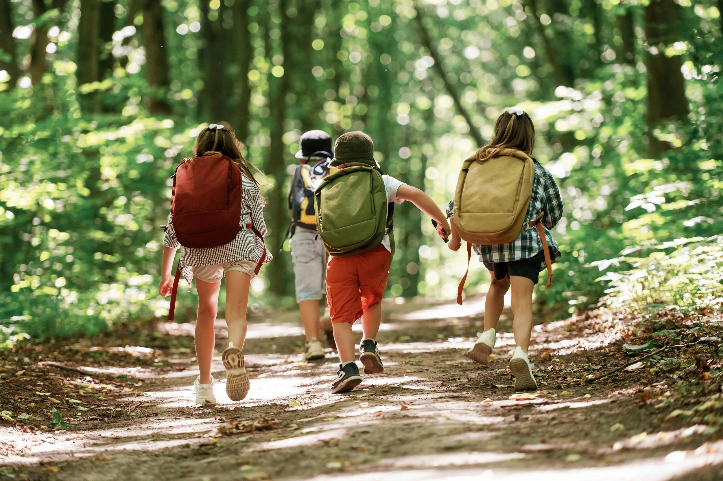 Les communautés forestières