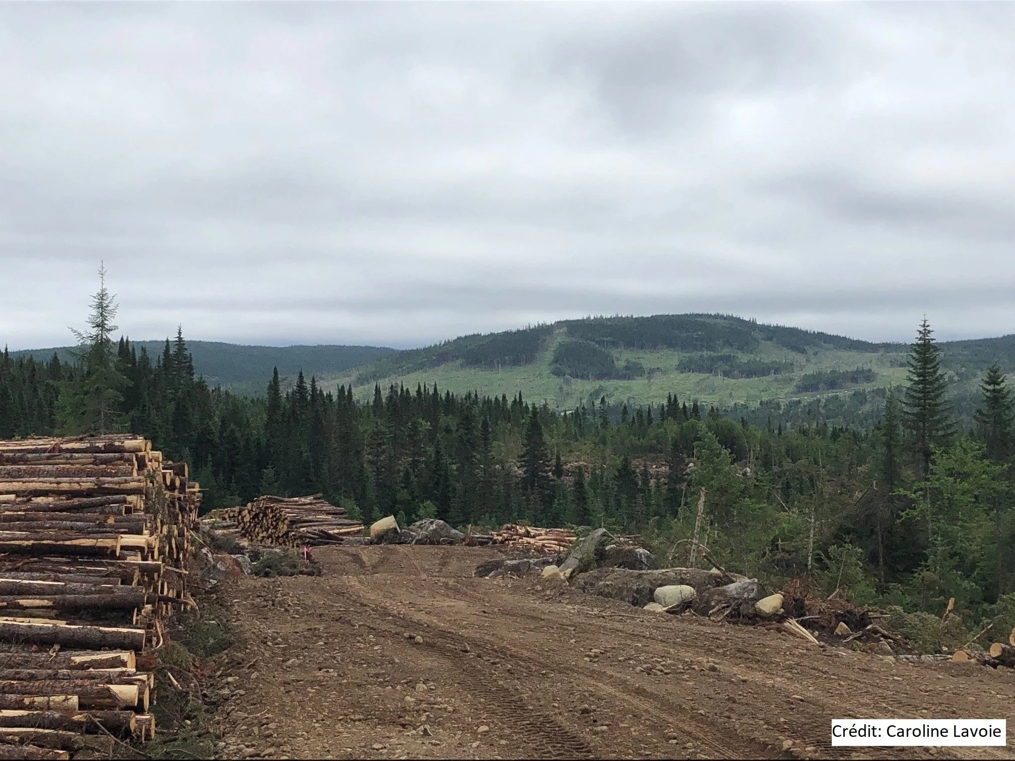 Alliance forêt boréale rencontre le ministre des Forêts et des Ressources naturelles