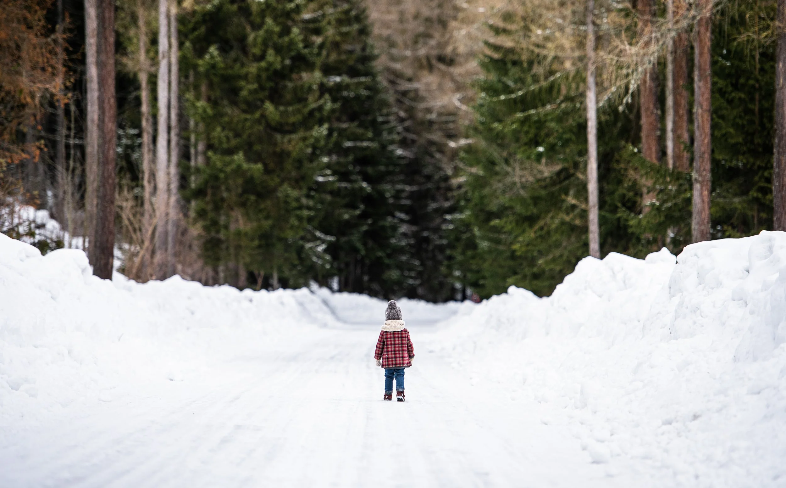 Les communautés forestières mises de côtés, encore une fois