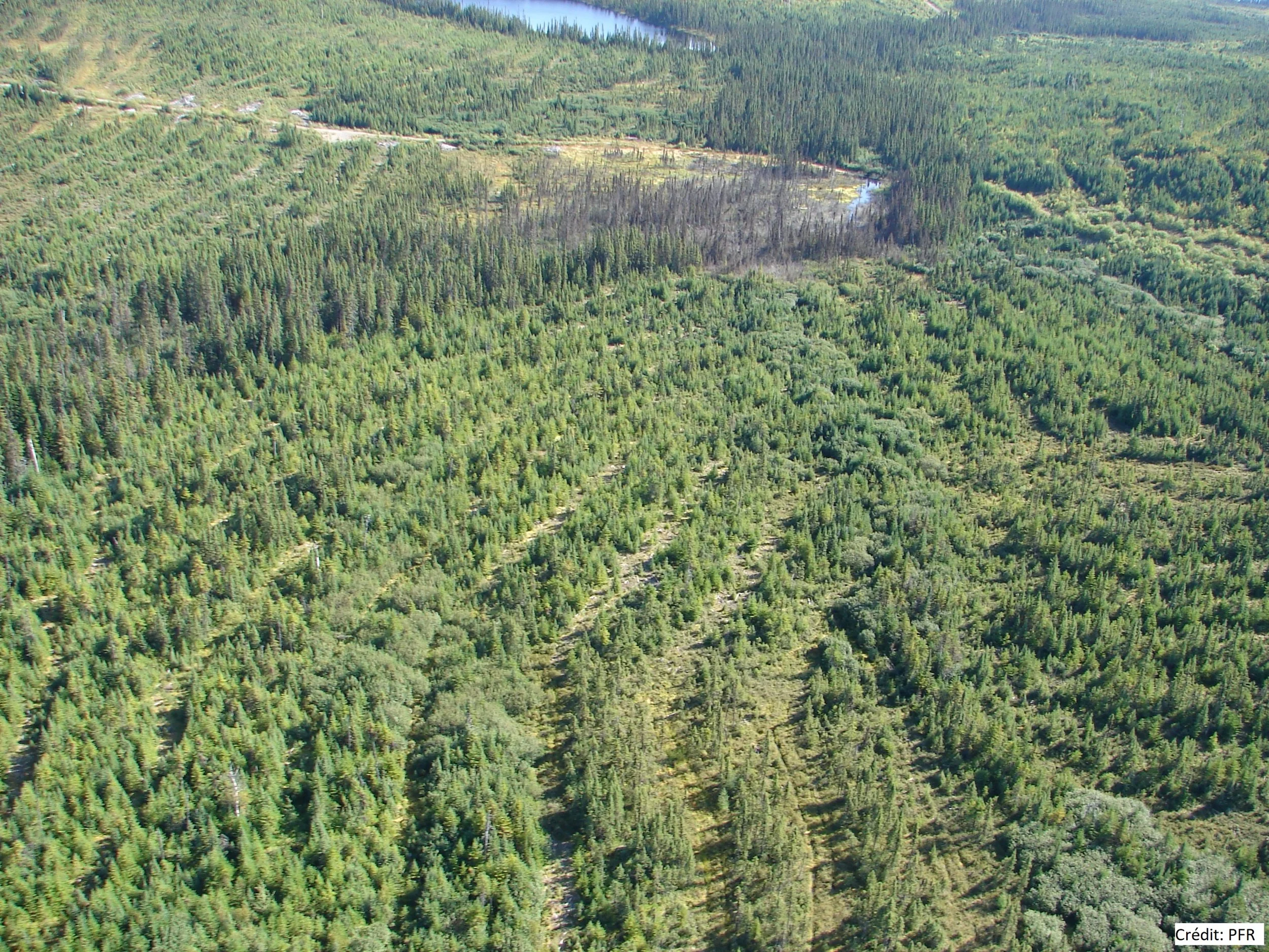 Une réforme loin d’être adoptée