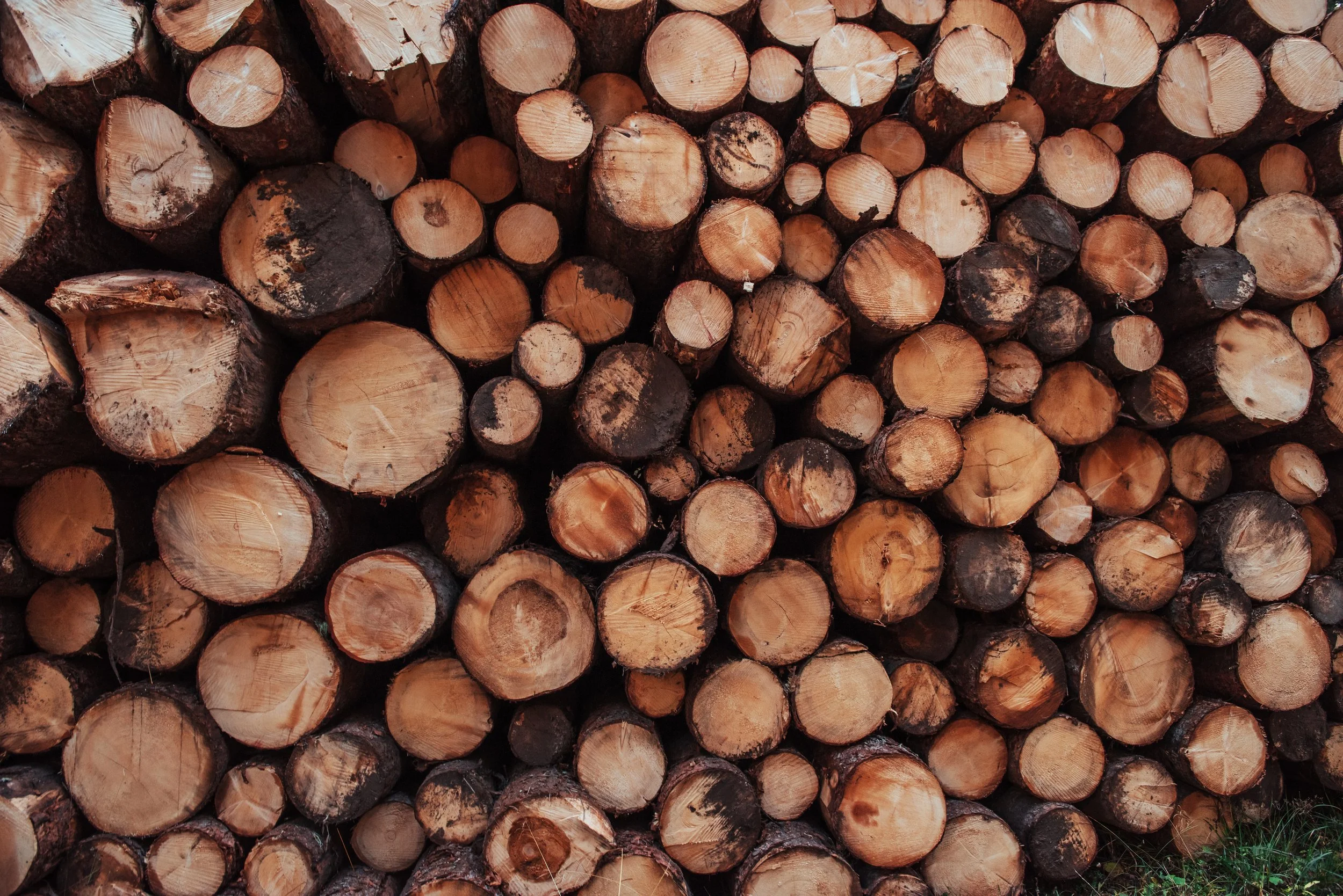 Alliance forêt boréale ne croit plus au Père Noël