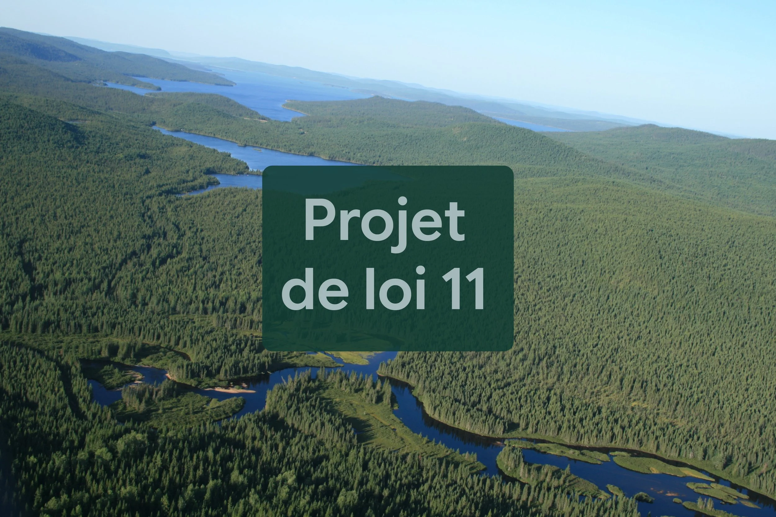 Adoption du PL11 - Mieux vaut tard que jamais!