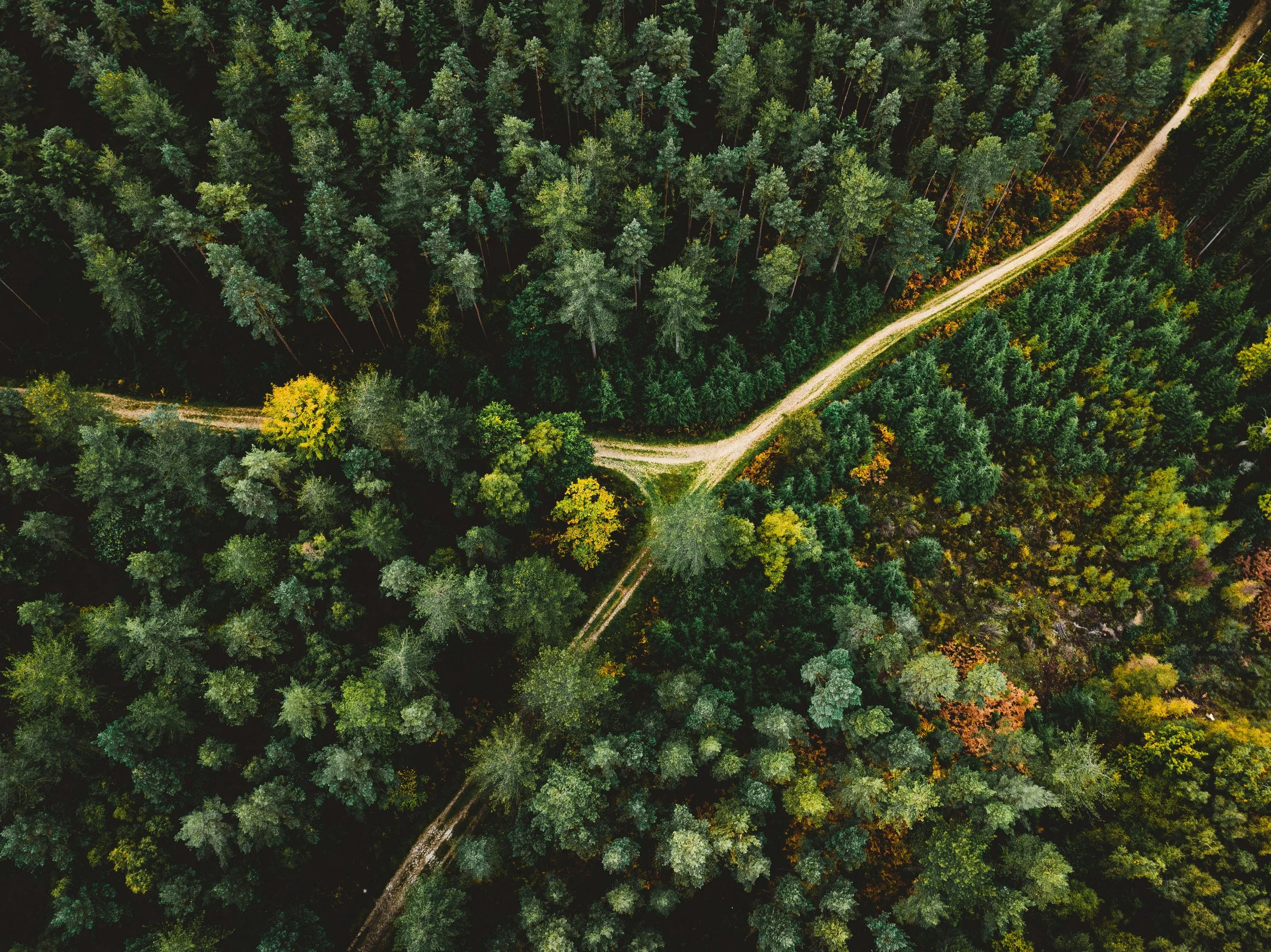 La relance des travaux de modernisation du régime forestier et la mise en place d’une vision d’aménagement, de développement et de protection du territoire, sont impératifs pour la survie du secteur.