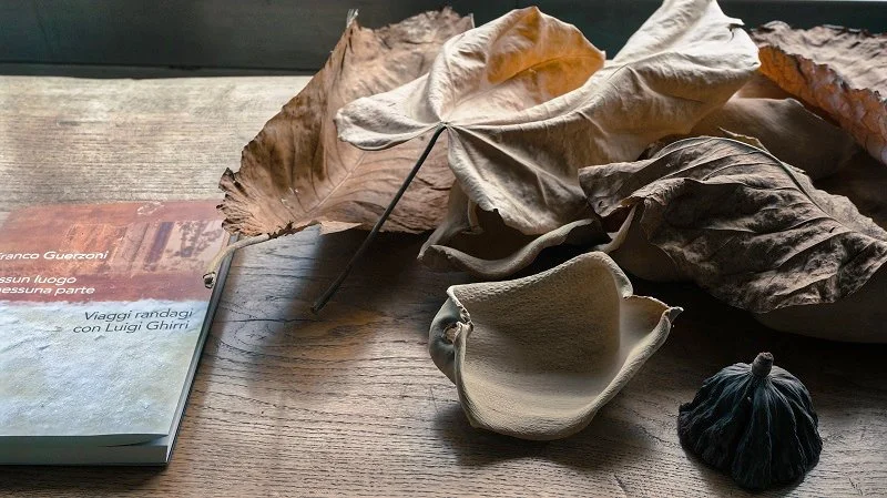 Dried leaves, seashells, and a book on a wooden surface.