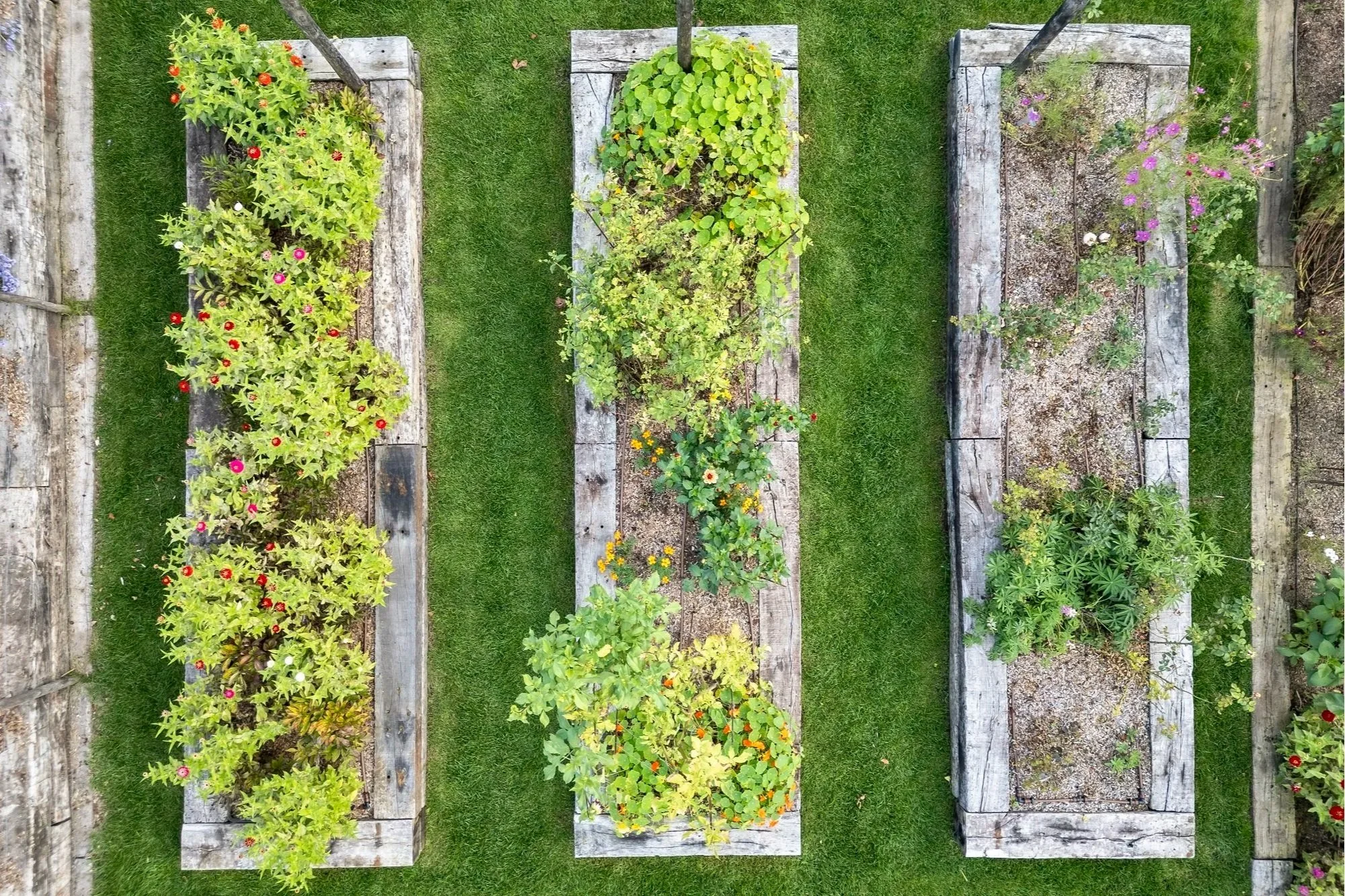 Top-down view of a garden with three wooden raised garden beds containing various green plants and colorful flowers, bordered by green grass.