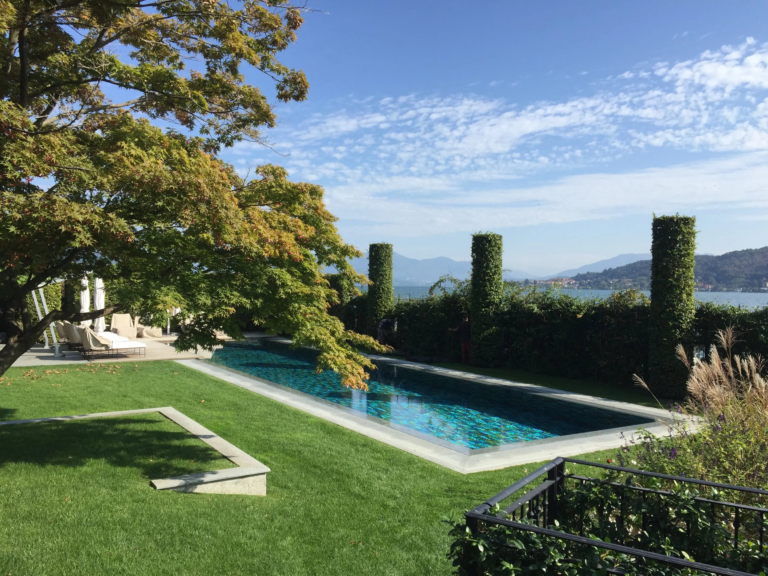 A landscaped backyard with a rectangular mirror-like pool, surrounding green grass, a large tree on the left, and tall bushes in the background with a view of distant mountains and blue sky.