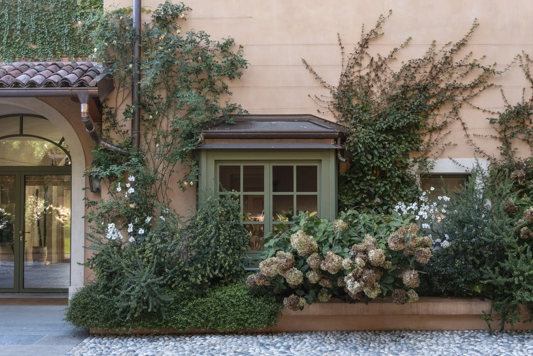 Exterior view of a house with a peach-colored wall, green window, and lush greenery with various plants and bushes.