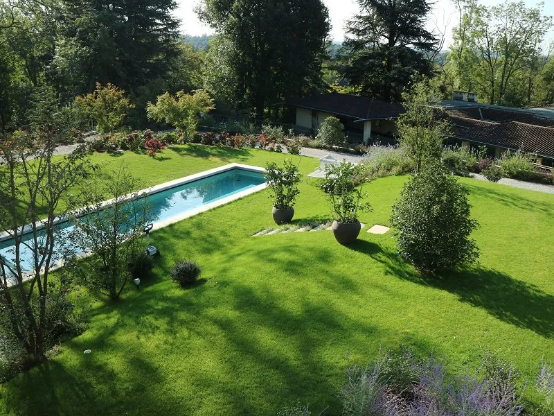 An aerial view of a backyard with a rectangular swimming pool, green lawn, trees, shrubbery, and a small building in the background.
