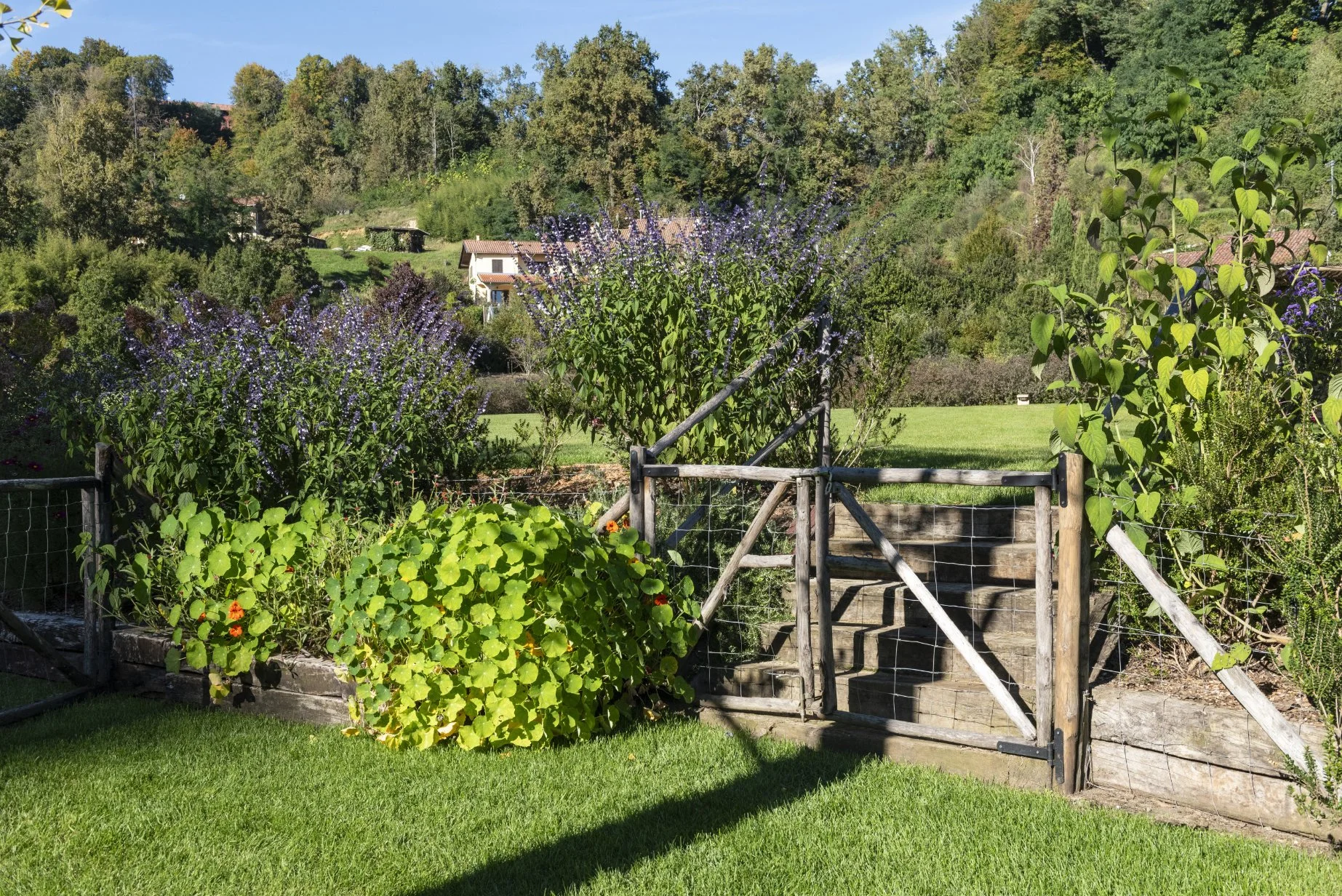 A wooden garden gate leads into a lush, green garden with flowering plants and a grassy lawn, with a backdrop of trees and houses on a sunny day.