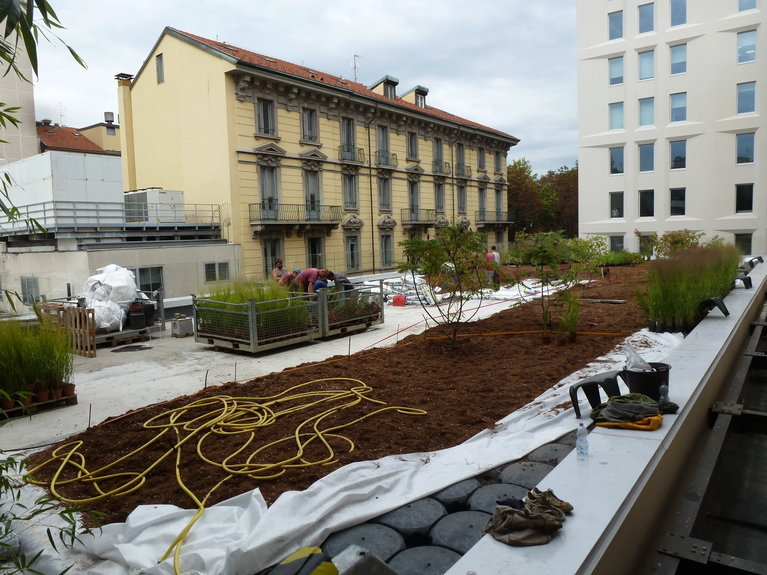 Construction workers planting trees and landscaping on a rooftop garden with soil, potted plants, and gardening tools, surrounded by city buildings.