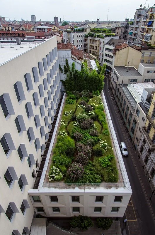 A rooftop garden with various green plants and trees, surrounded by city buildings and a narrow street with a parked white car.