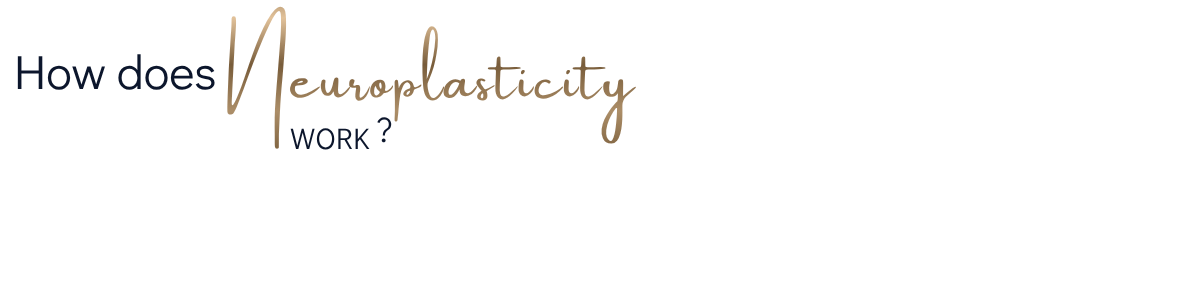 Text graphic reading: How does neuroplasticity work?