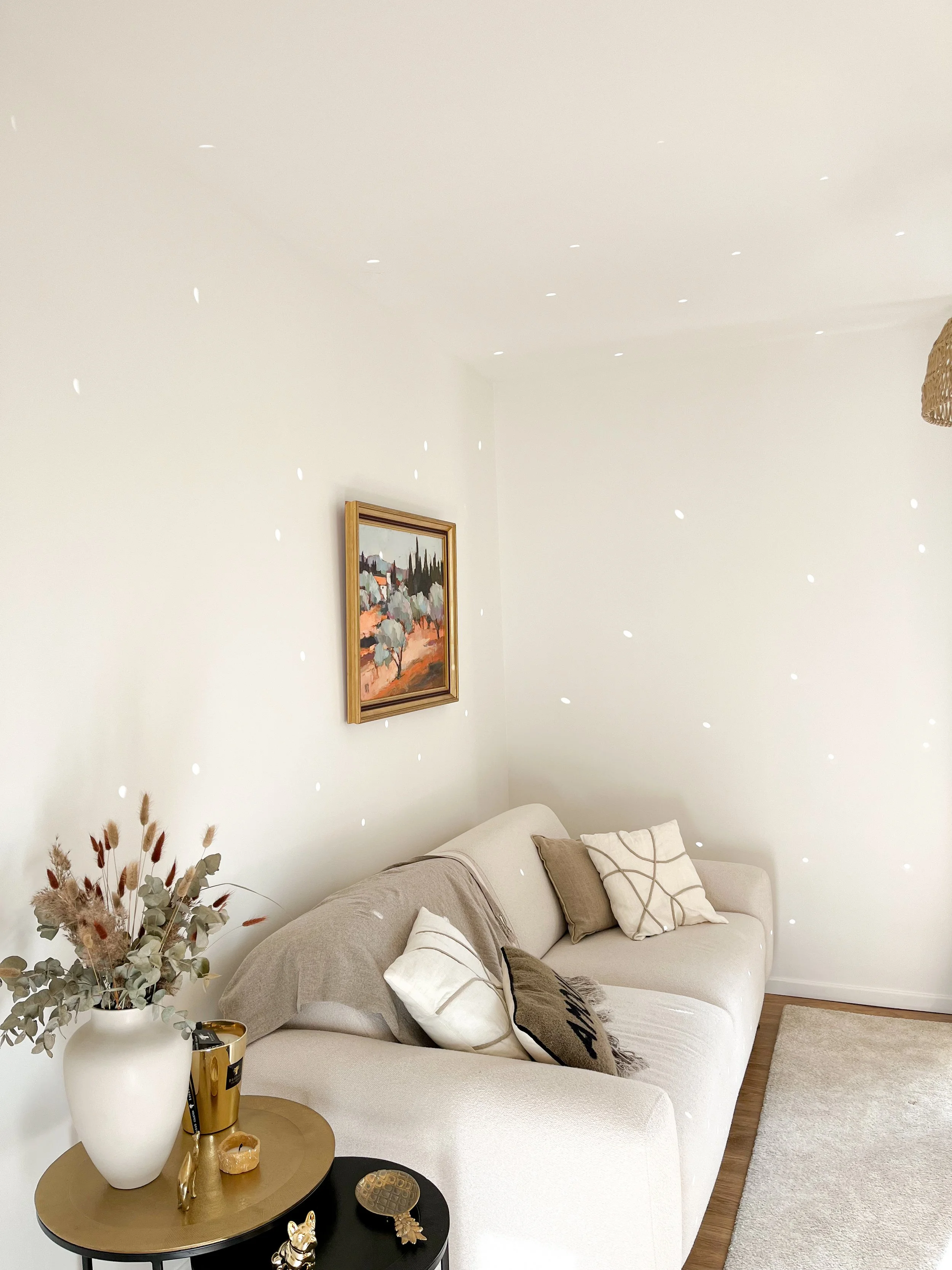 Salon cosy avec canapé beige, coussins et tapis clair, miroir et échelle en bois, décoration avec vase de fleurs séchées et objets décoratifs, peinture de paysage sur le mur, lumière douce.