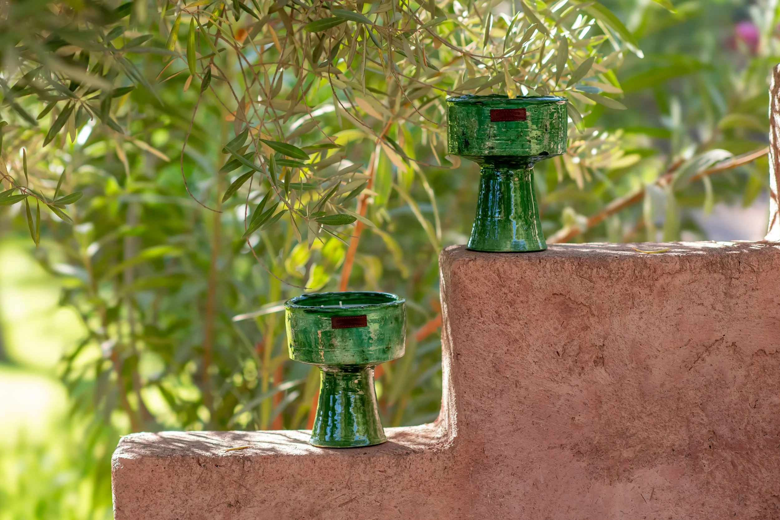 coupe tamegroute C.jpeg