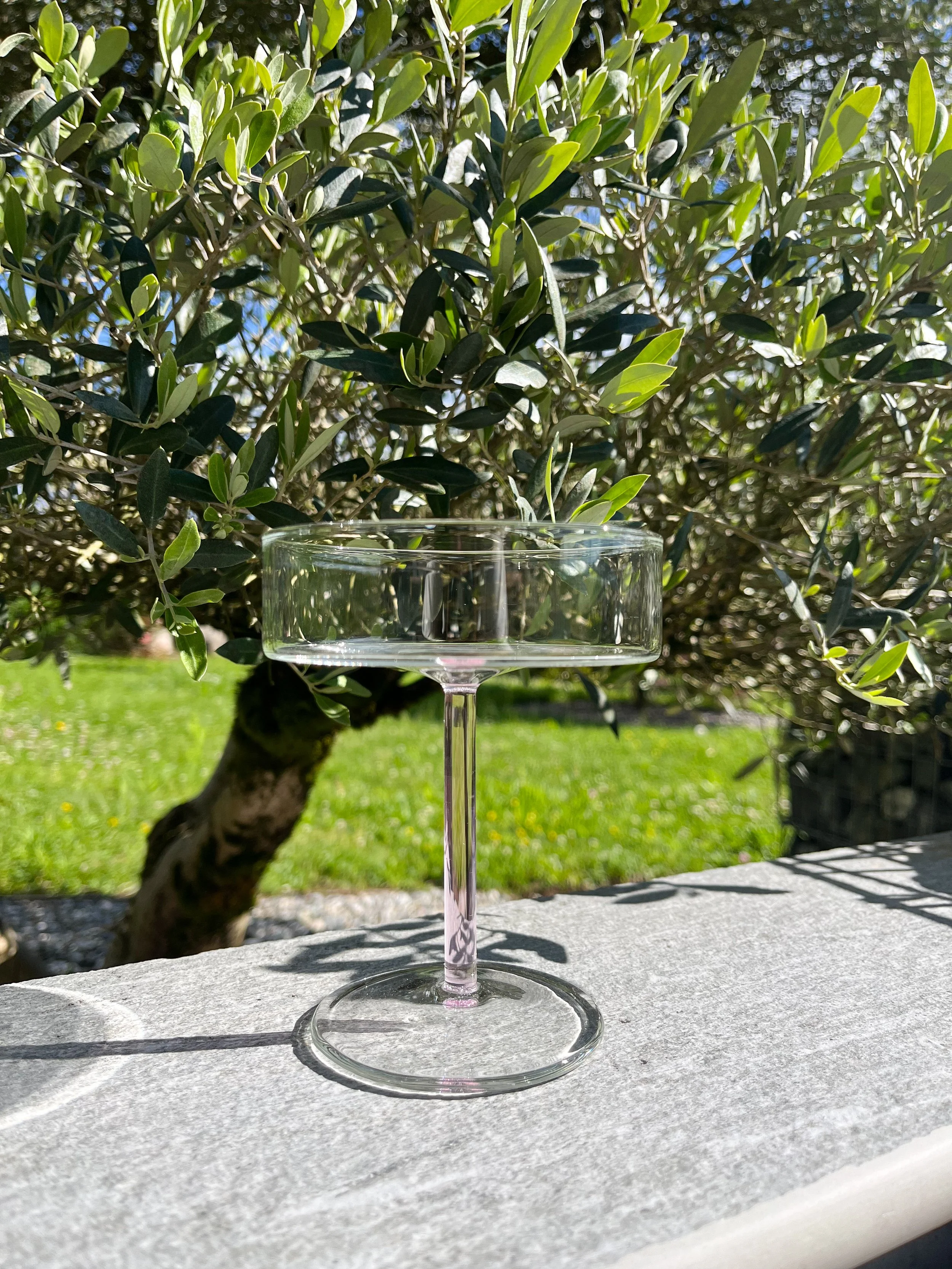 Coupes à champagne - lot de 2
