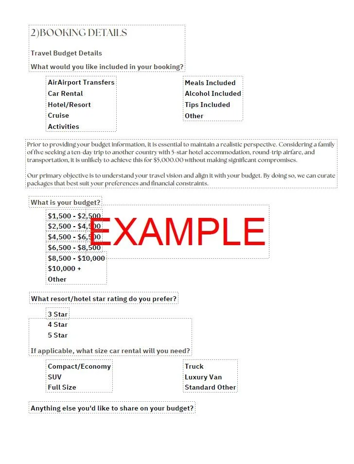travel intake form3.JPG