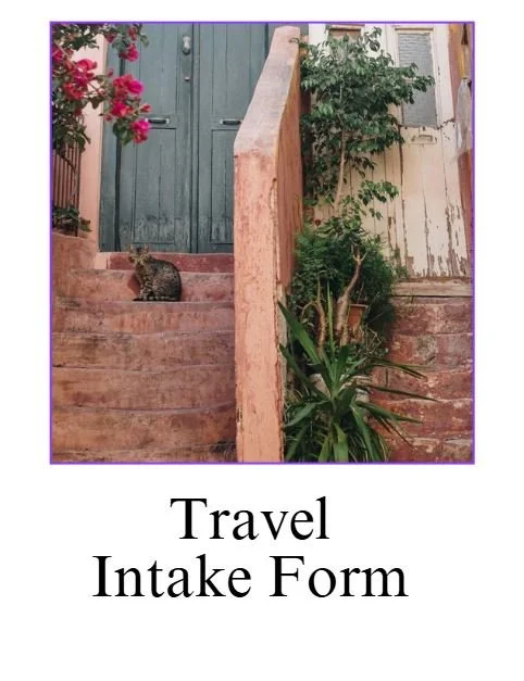 travel intake form.JPG