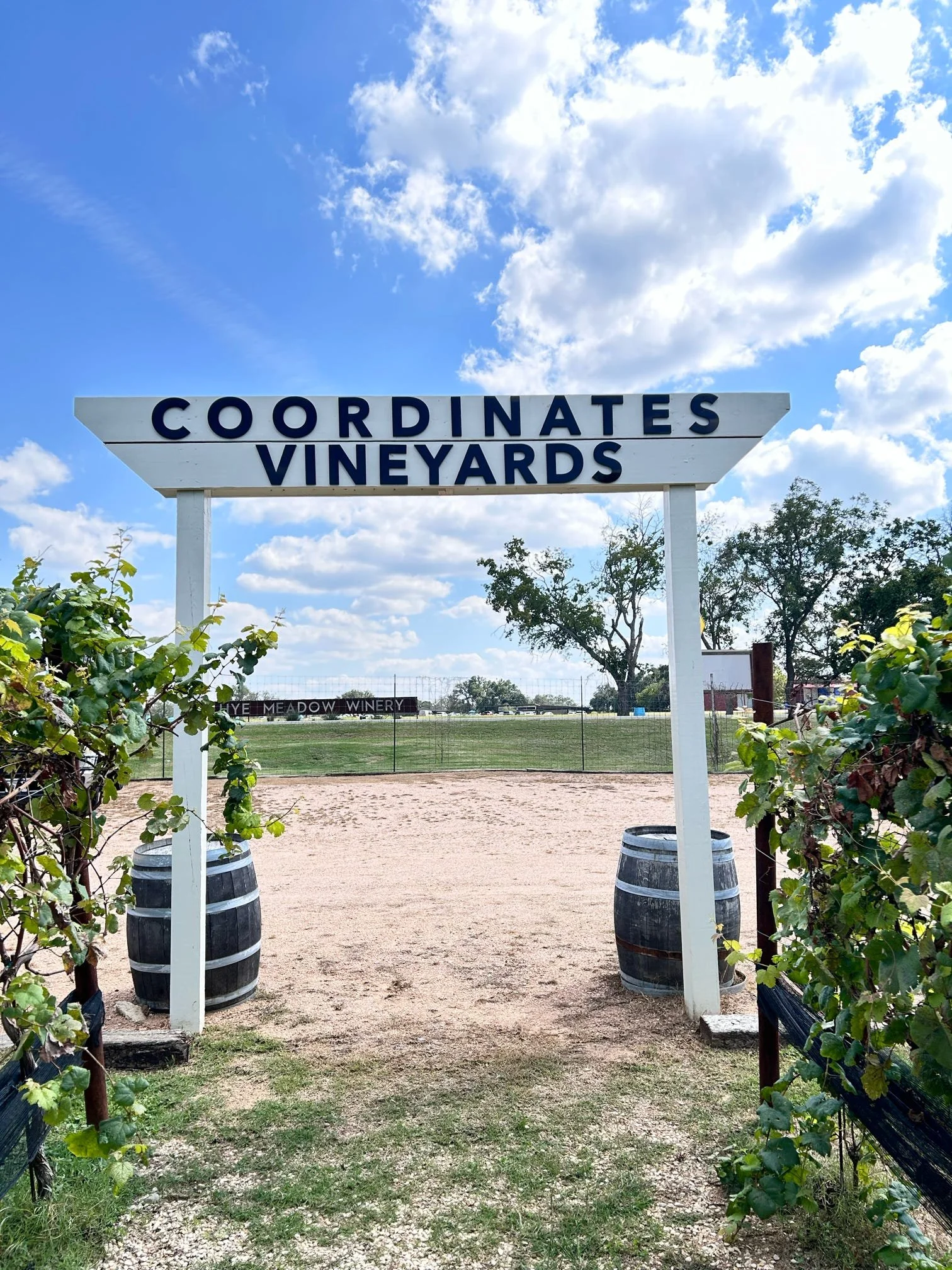 Coordinates Vineyards in Fredericksburg, Texas