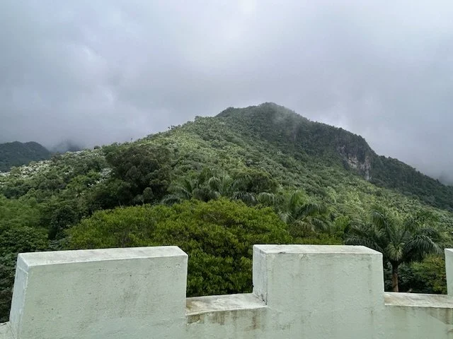 IMG_1833.jpeg