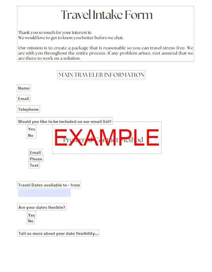 travel intake form1.JPG
