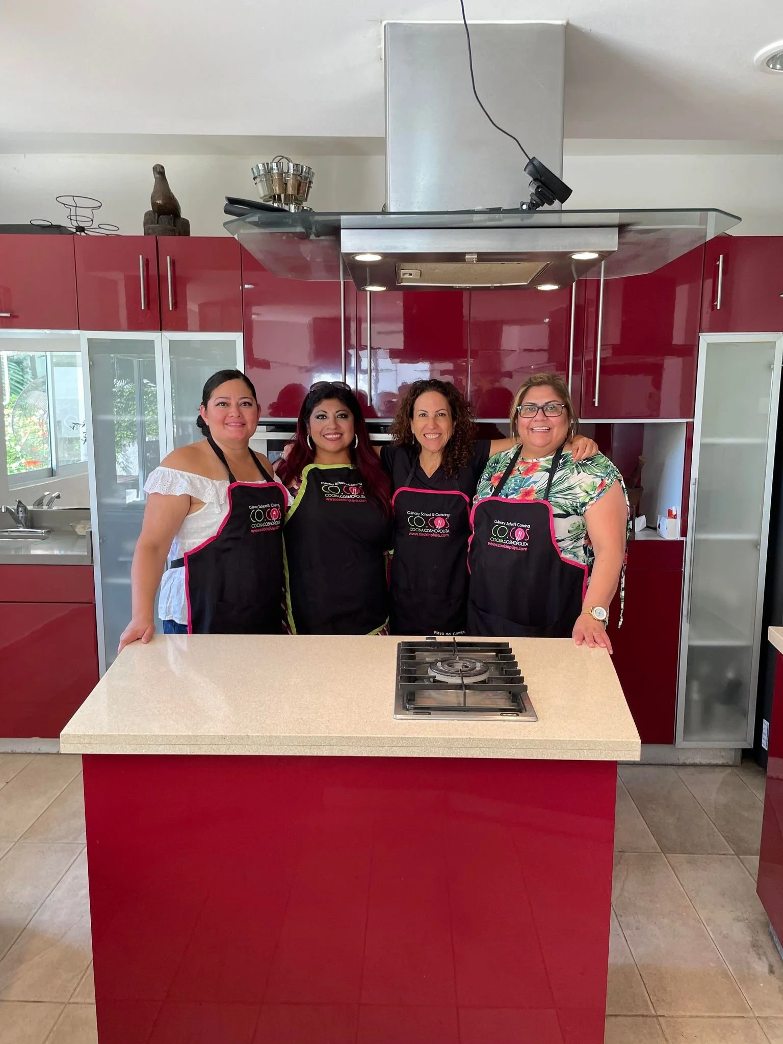 Four women are standing together in a kitchen, smiling for the camera. They are wearing black aprons with pink trim and a logo that says 'Culinary School & Catering.' The kitchen has red cabinets, a beige countertop with a stove, and a window that shows some greenery outside.
