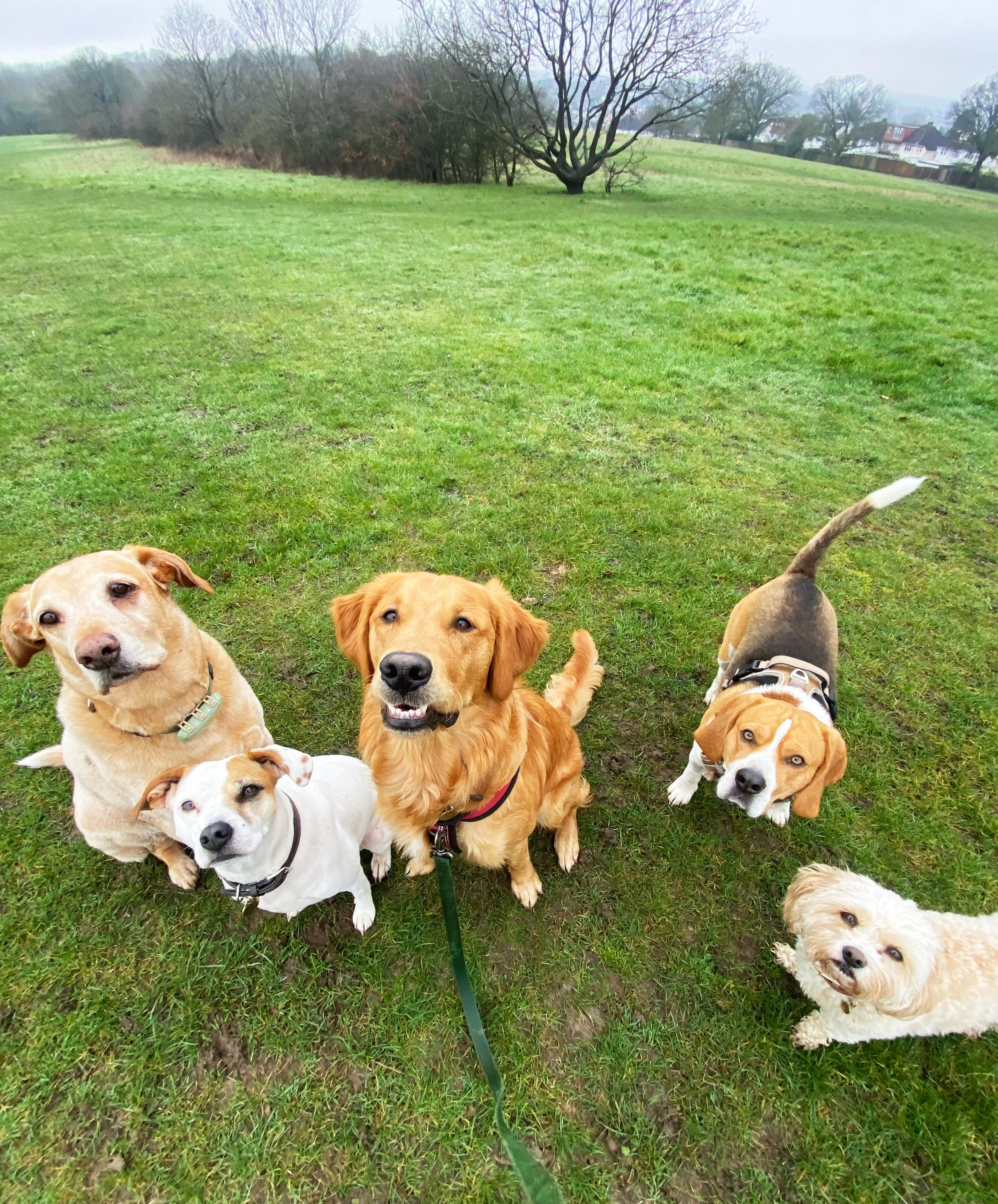 Solo and group walks