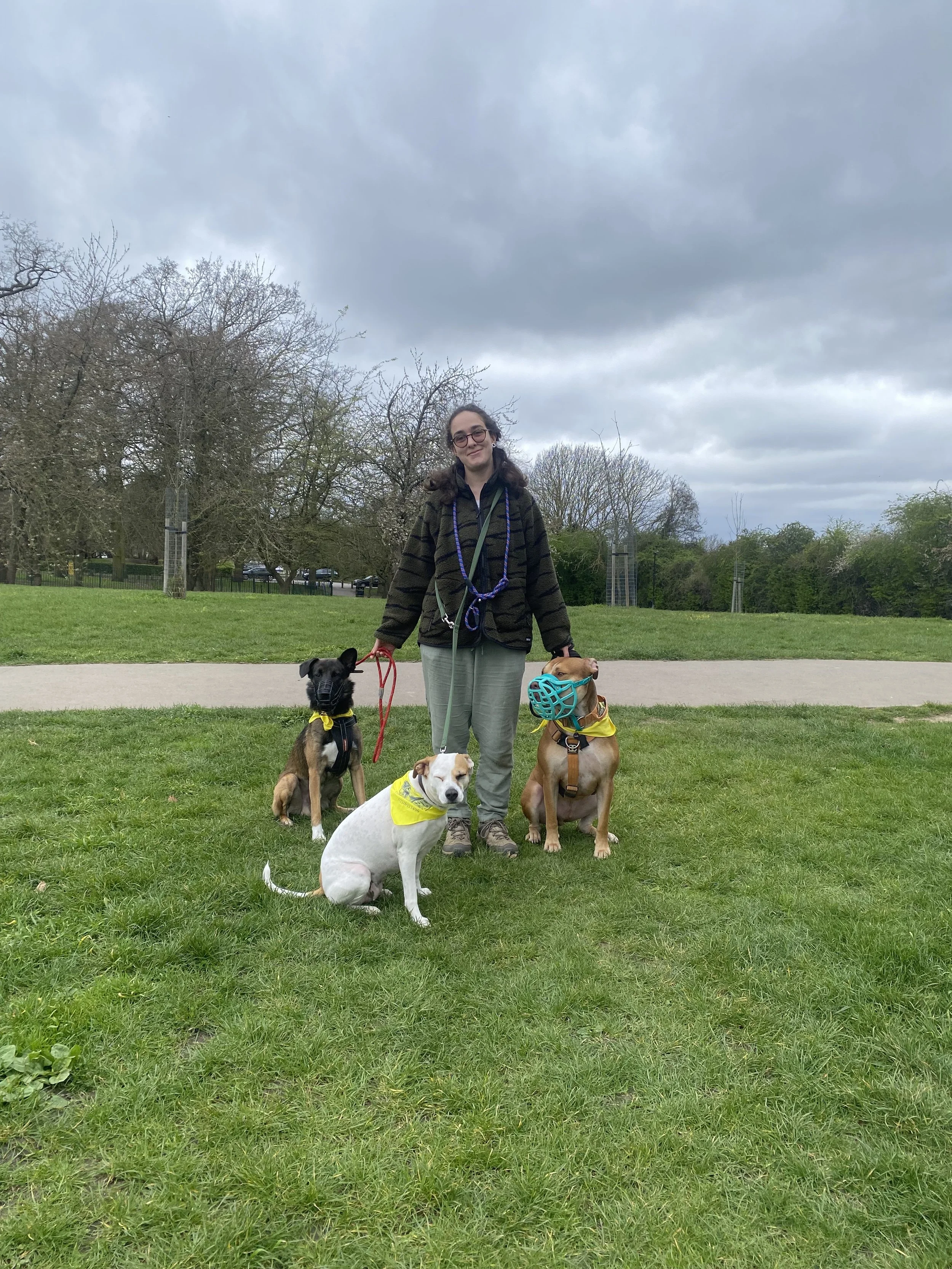 A woman standing on grass in a park with four dogs, some wearing yellow bandanas and one with a blue dog muzzle, under a cloudy sky. Charlie's Wholesome Adventures Charlie's Wholesome Adventures Dog Day care Greenwich