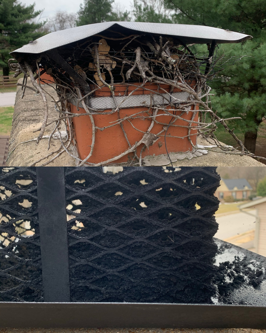 Flue Blockage Carbon Monoxide