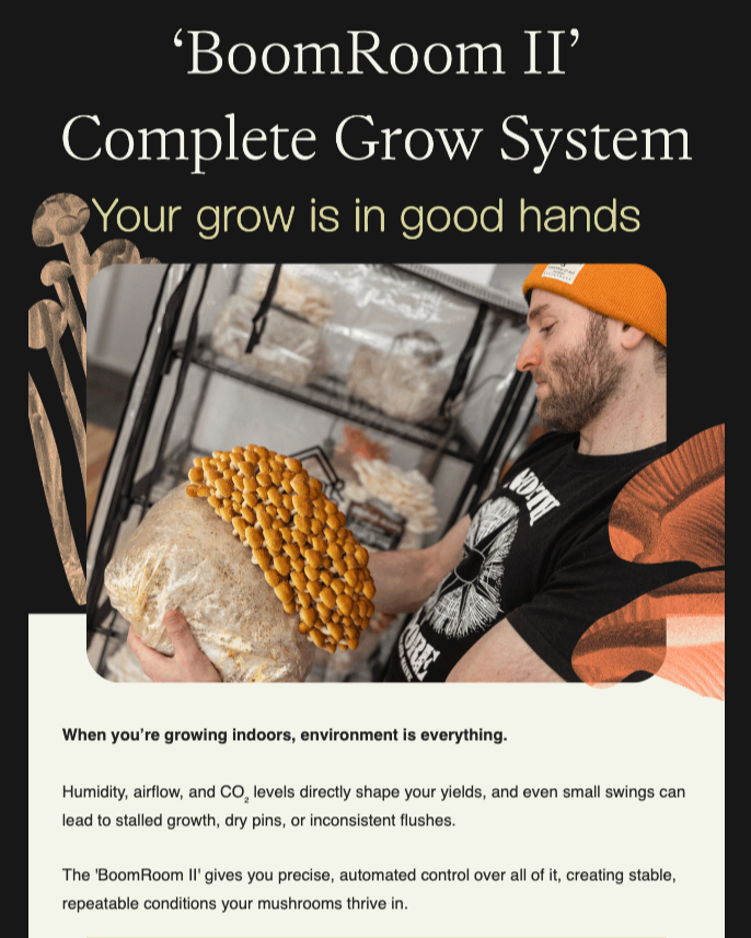 Targeted promotional email campaign built around product-specific value propositions, reinforcing key differentiators to support both conversion and customer clarity