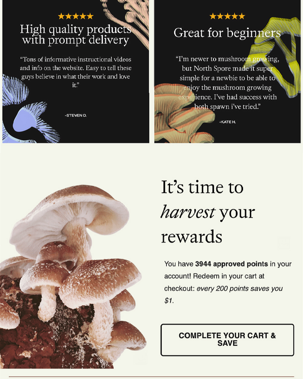 Cart recovery email leveraging countdown timer urgency and dynamic loyalty personalization to surface real-time point balances, with conditional content prompting sign-up for non-members.