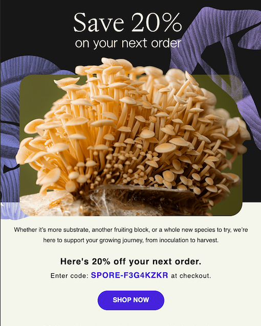 Re-engagement workflow leveraging dynamic promo banners, conditional discount logic, and personalized product recommendations based on browse behavior and new product launches.