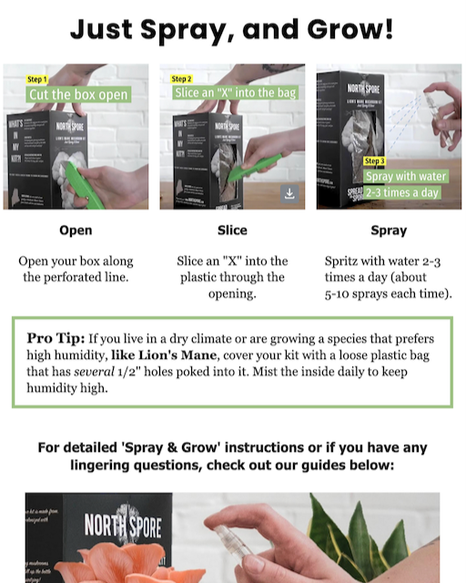 Comprehensive post-purchase lifecycle series delivering product-specific grow guidance across 21 emails and 6 category splits, designed to equip customers with the knowledge needed for a successful first grow.