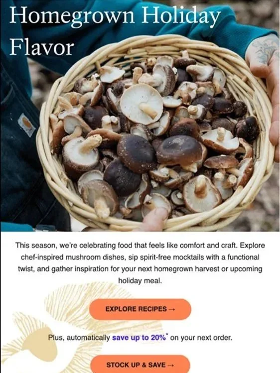 Holiday campaign developed to blend content and commerce, the series paired seasonal recipe inspiration with shoppable product moments and a layered promotional incentive to drive repeat purchase. 