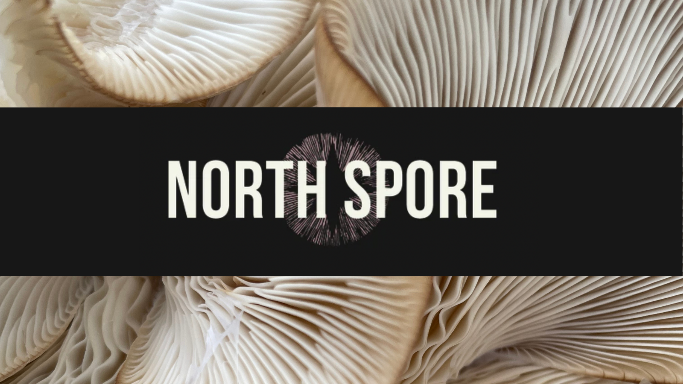 Oyster mushroom gills with the North Spore logo overtop