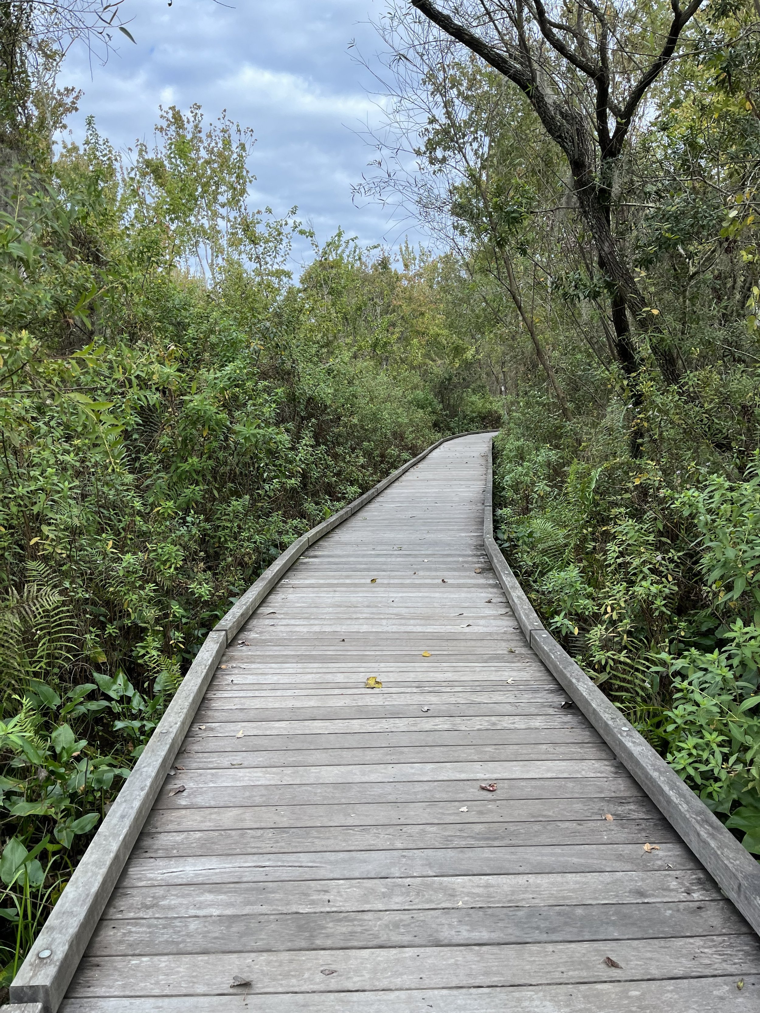 When Life Gets Quieter:  Rediscovering Yourself in the Silence