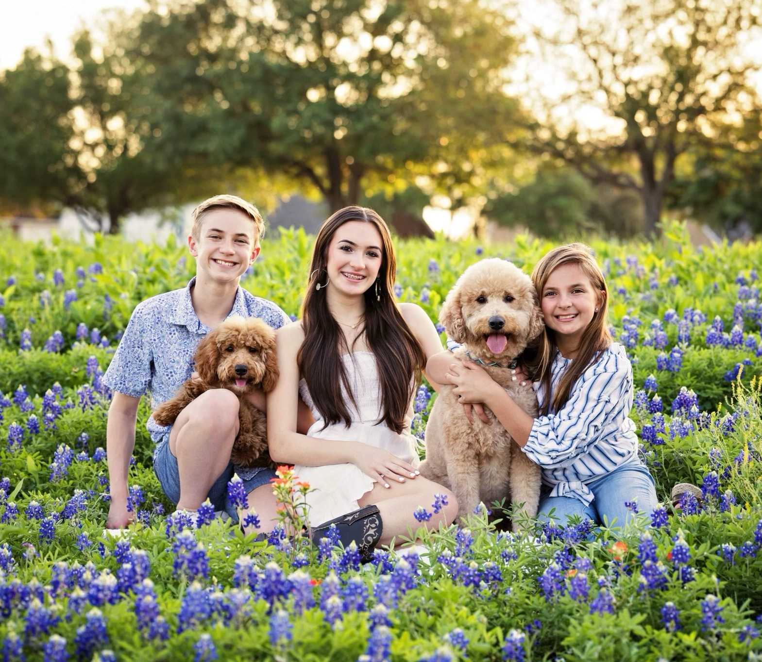 Four children sitting in a field of purple flowers, smiling. Two of them are holding golden retriever puppies.