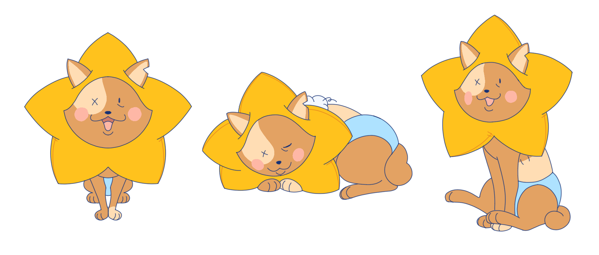 IMG_5205.png