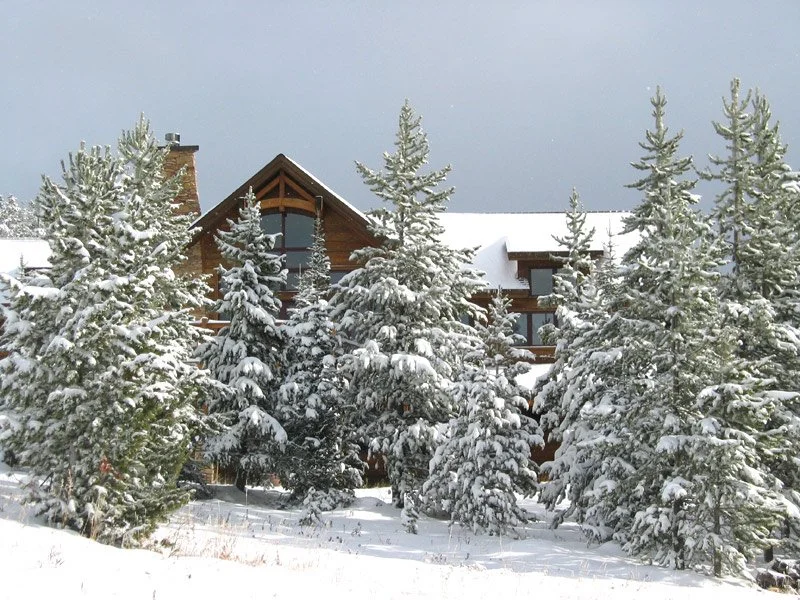 Kornfeld outside.jpg