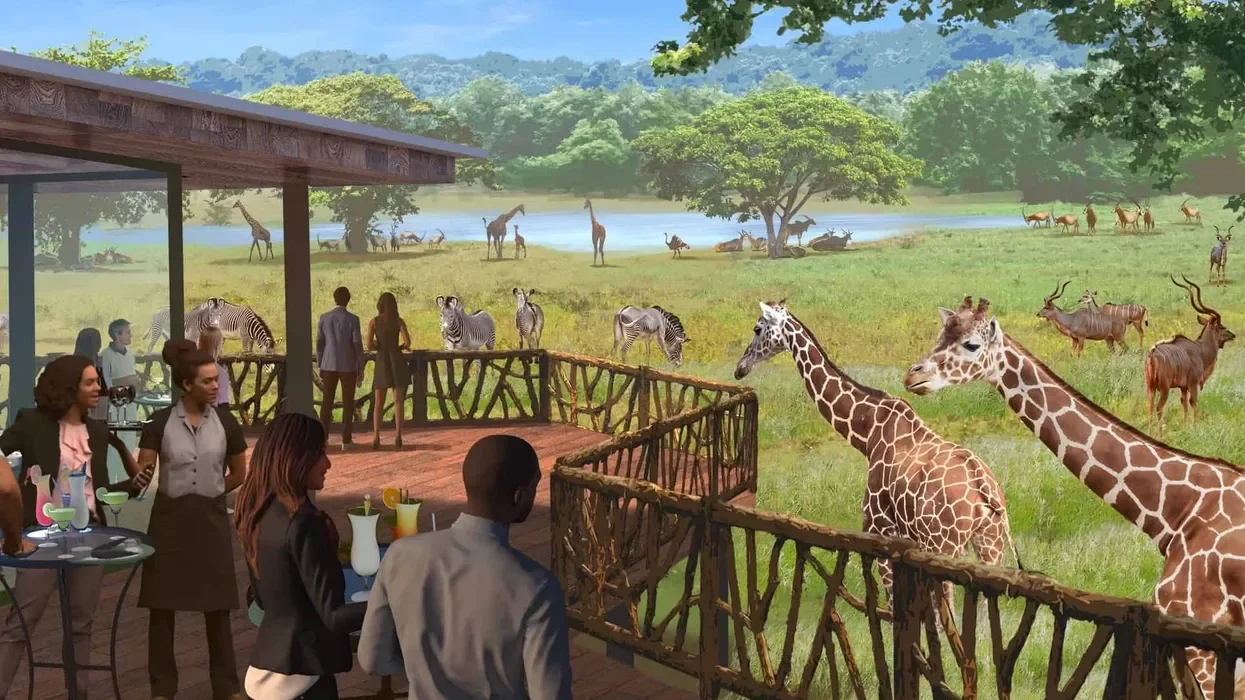 Mock up image of an imagined experience at the WildCare Park. Visitors enjoy drinks on a raised patio as giraffes and other animals graze in a field nearby.