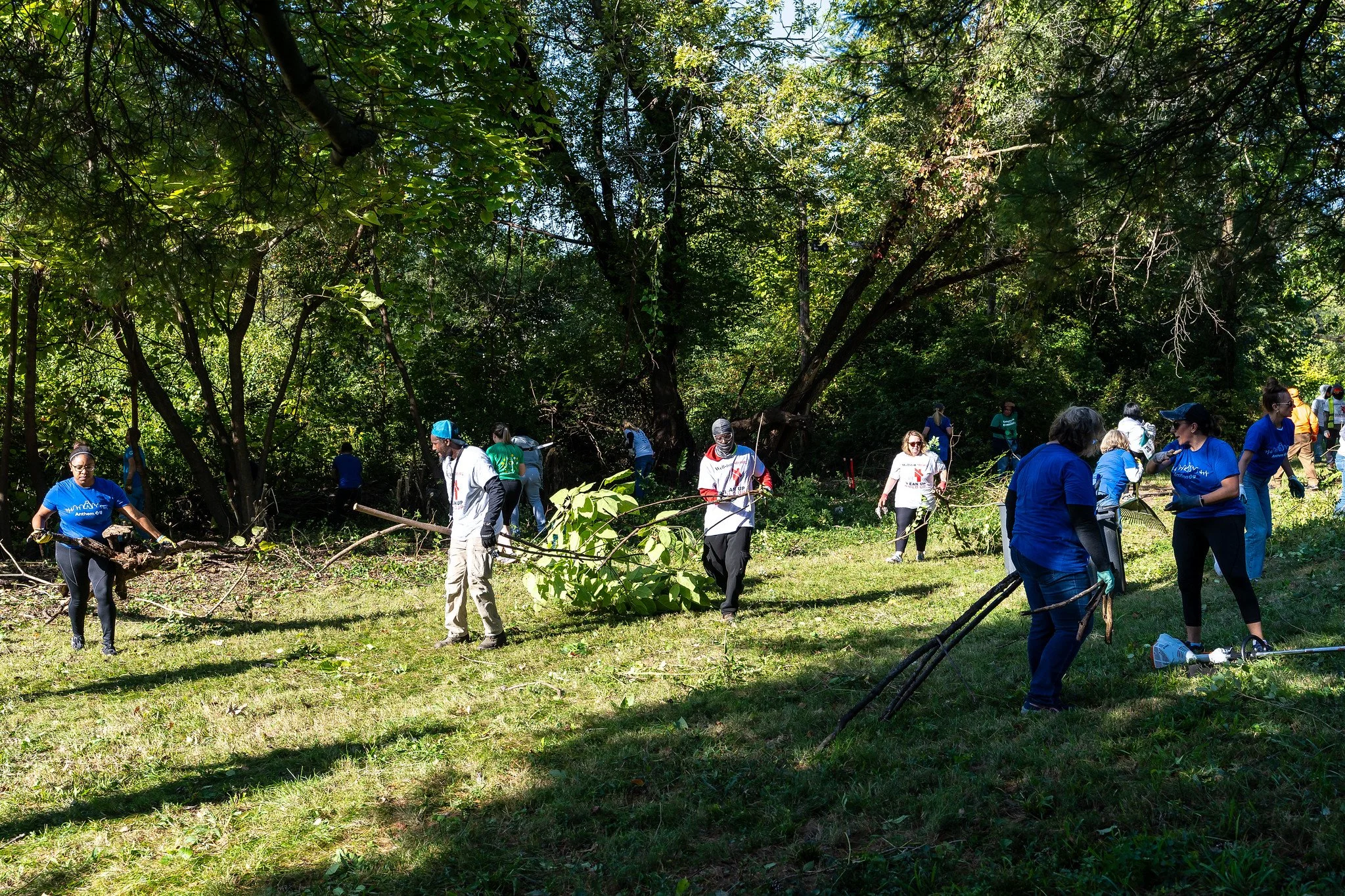 Group of volunteers cleaning up a park or wooded area, collecting branches and debris on a sunny day.