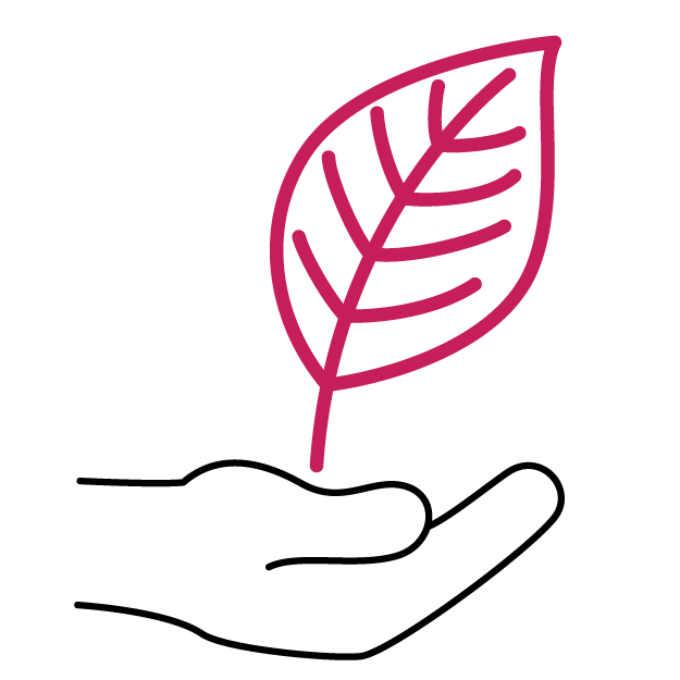 Sustainability considerations icon