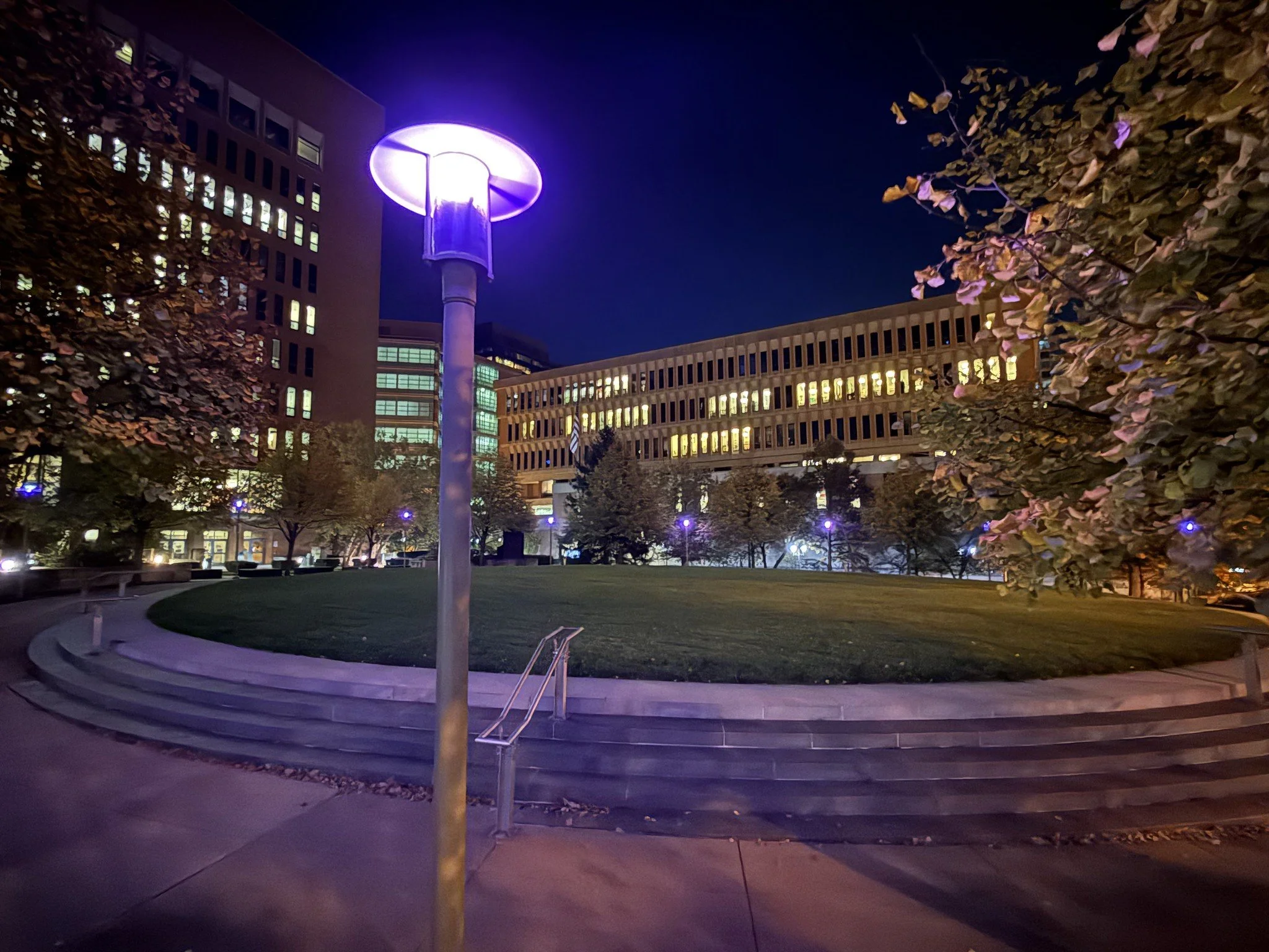 Night scene of an illuminated park with grassy area, stairs, trees, and modern office buildings in the background. A tall streetlight with purple lighting stands in the foreground.