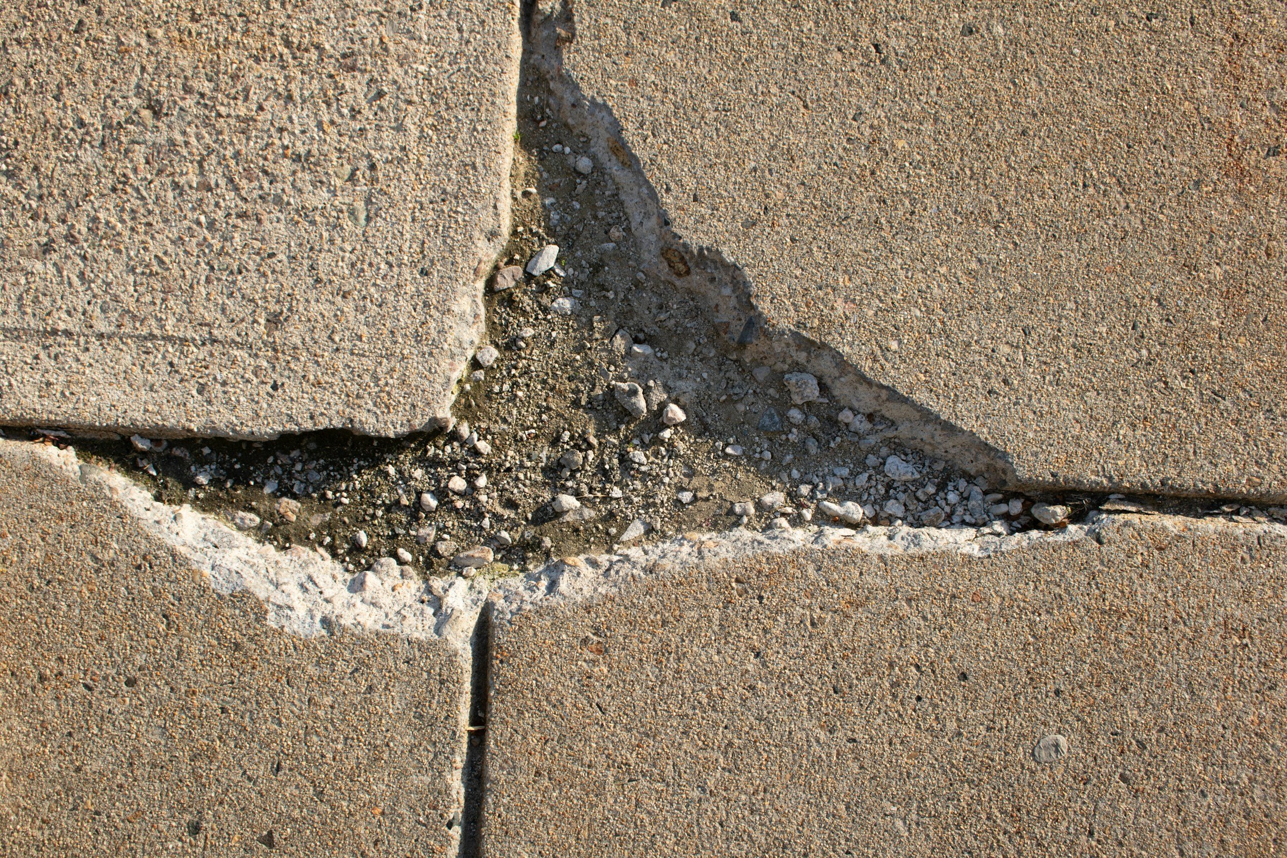 A crack in a sidewalk