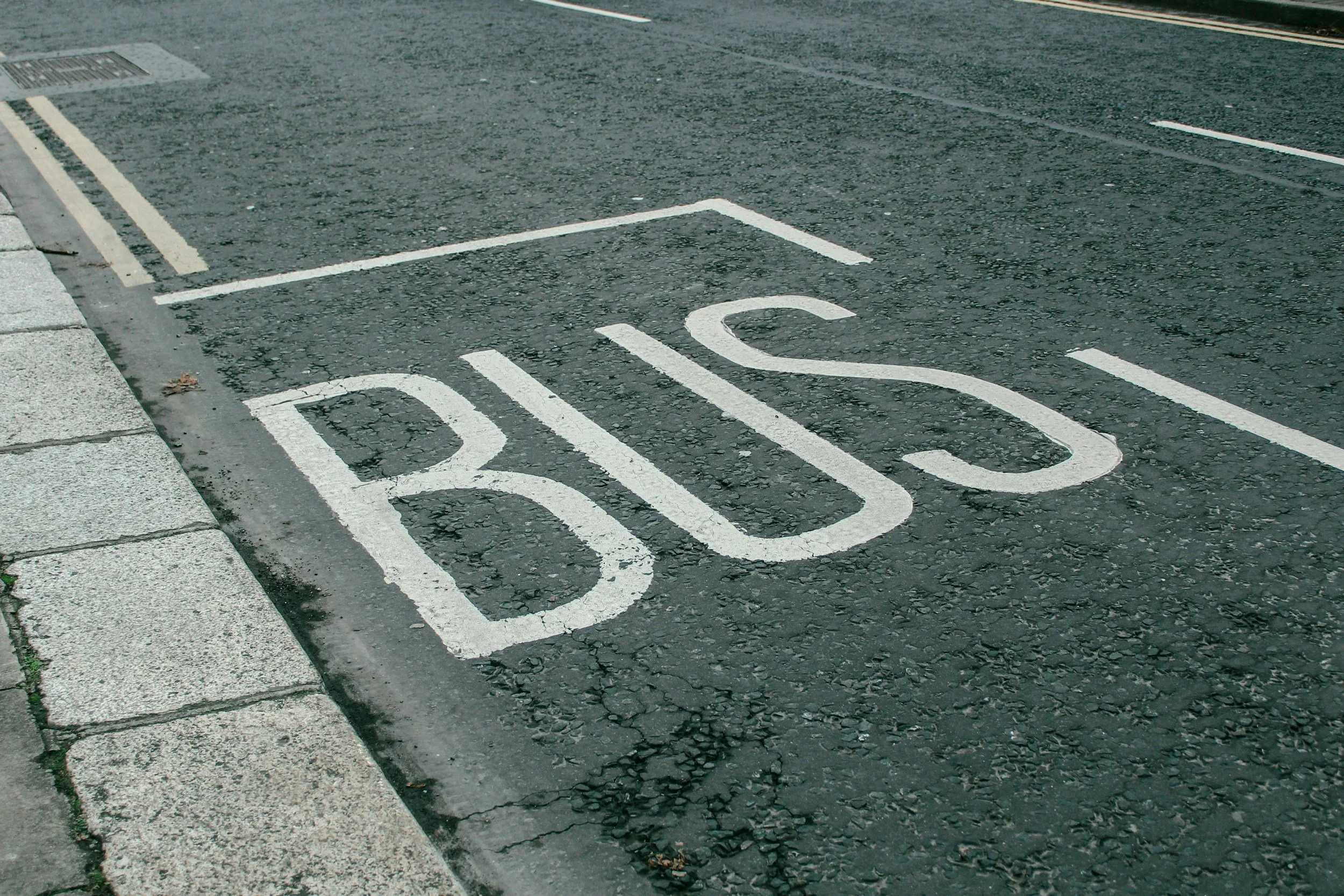 The word "Bus" painted on pavement for a bus lane