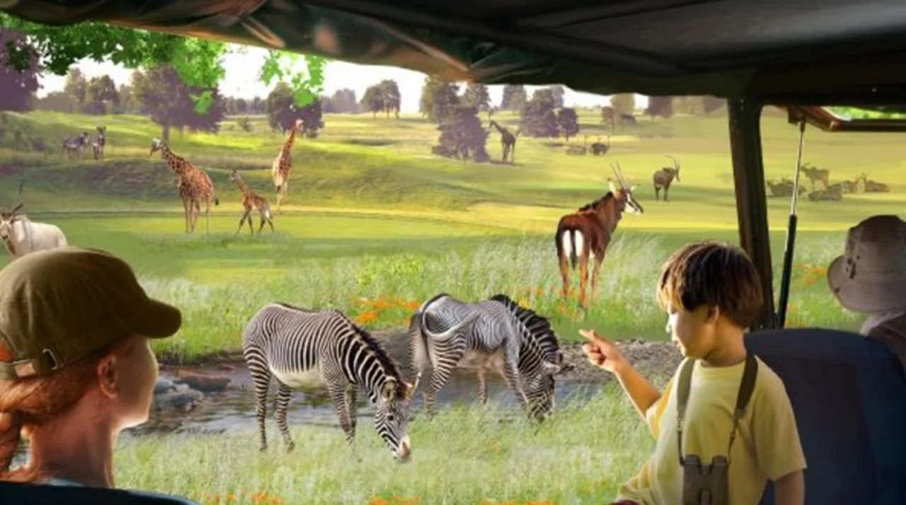 A rendering of the WildCare Park shows visitors in a vehicle watching as zebras and other animals drink from a nearby pond.