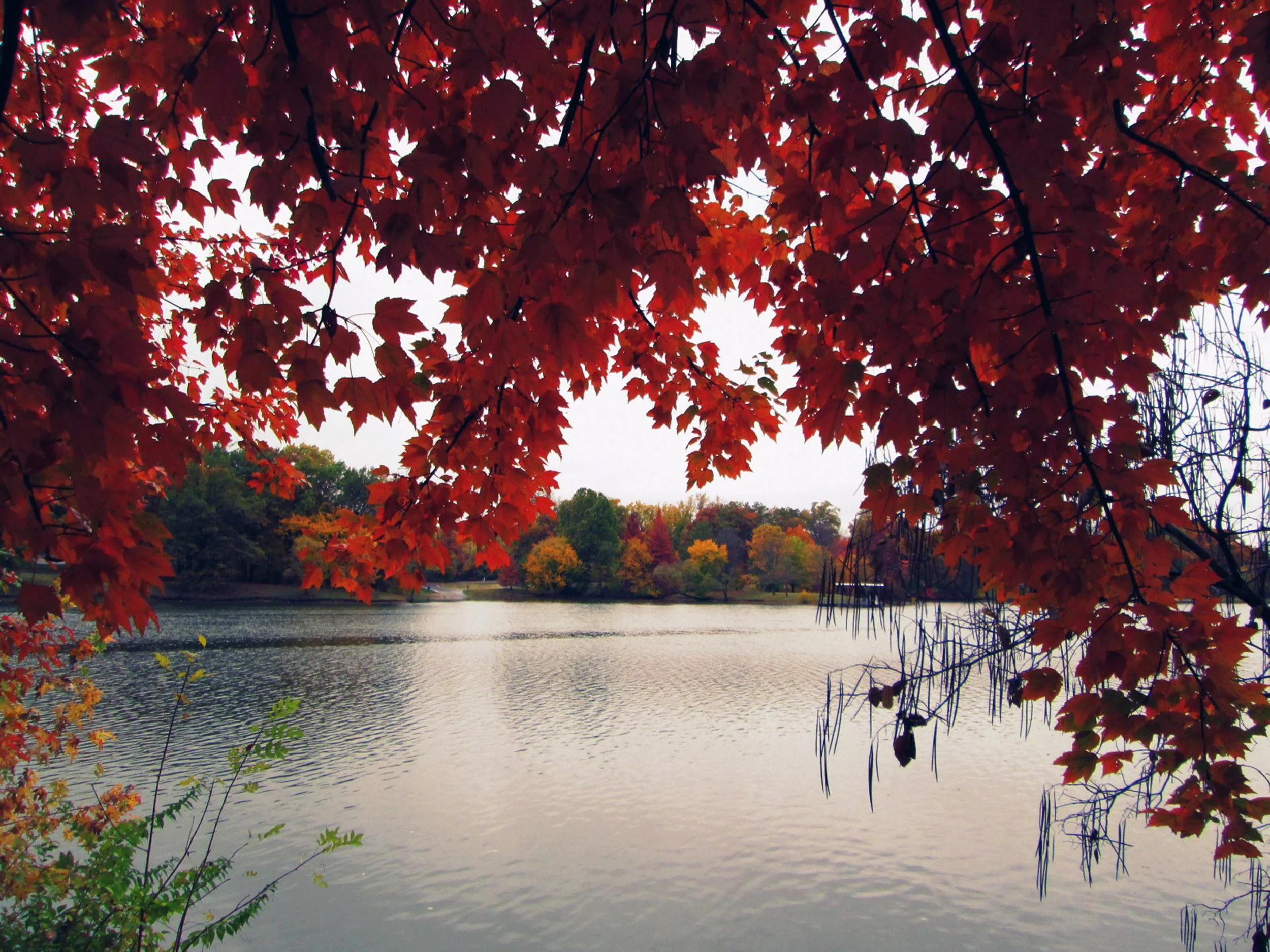 A view of Spanish Lake through red leaves in the fall