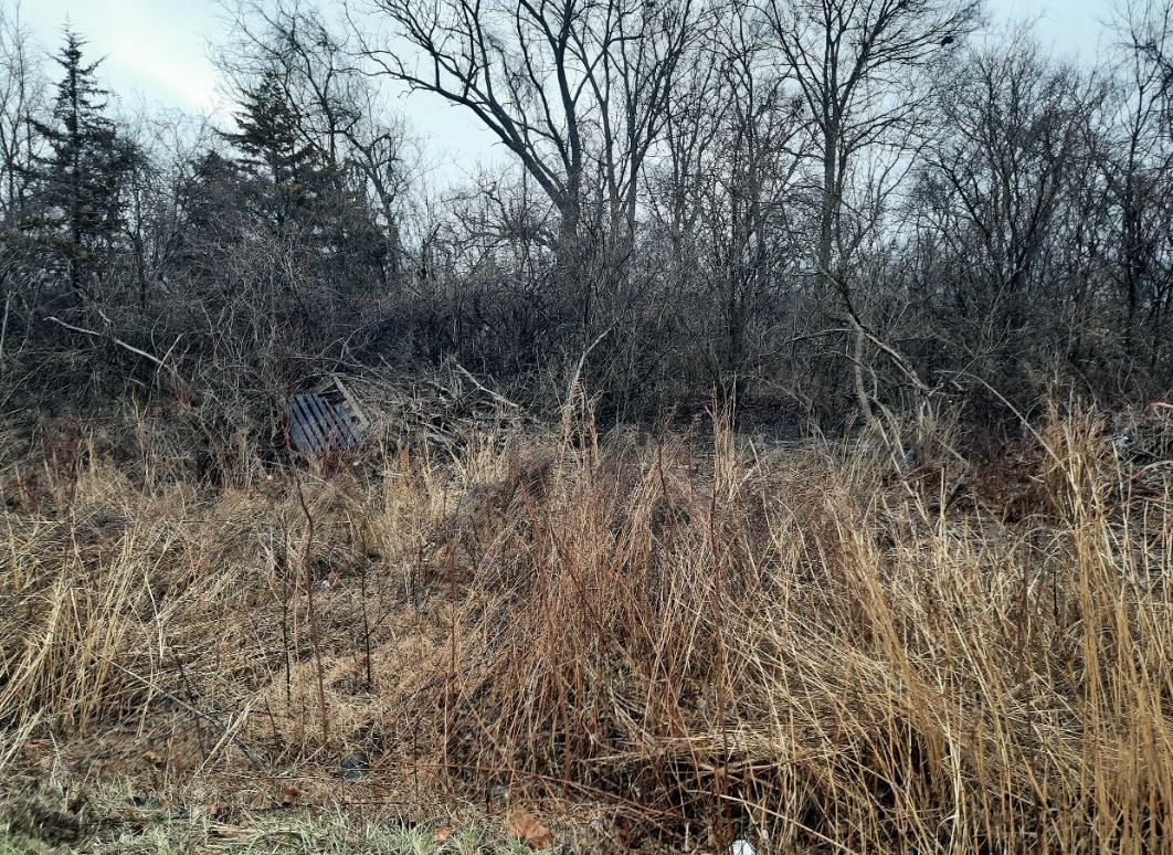 This image depicts a natural, undeveloped landscape featuring overgrown dry brush, trees, and possibly some debris.