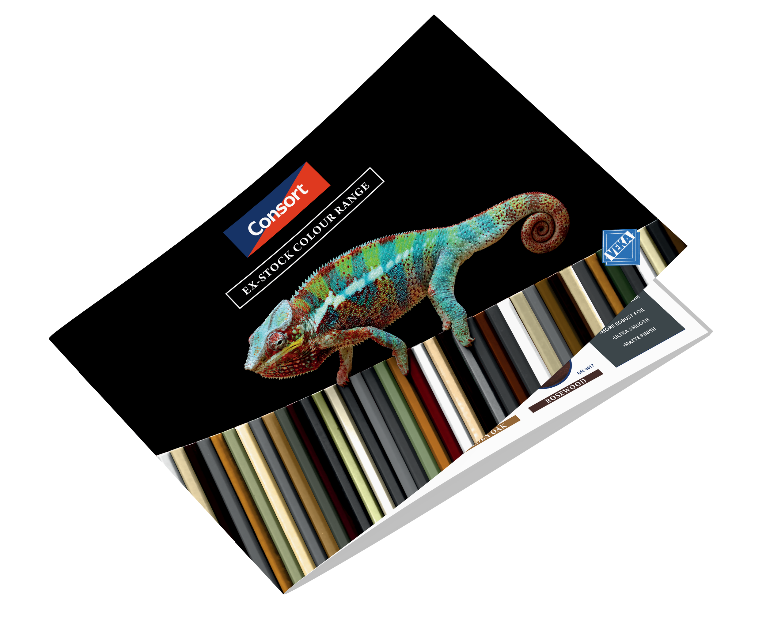 Brochure Mockup - 6.png