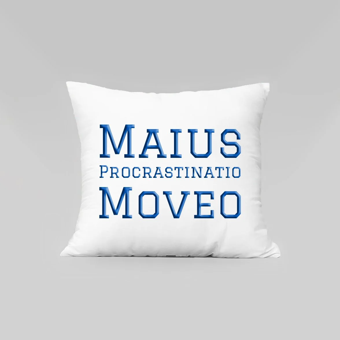 The "Lesser Challenge" Accent Pillow